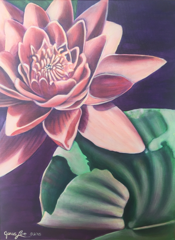 Monocot III: Nymphaea by artist Janus Lee